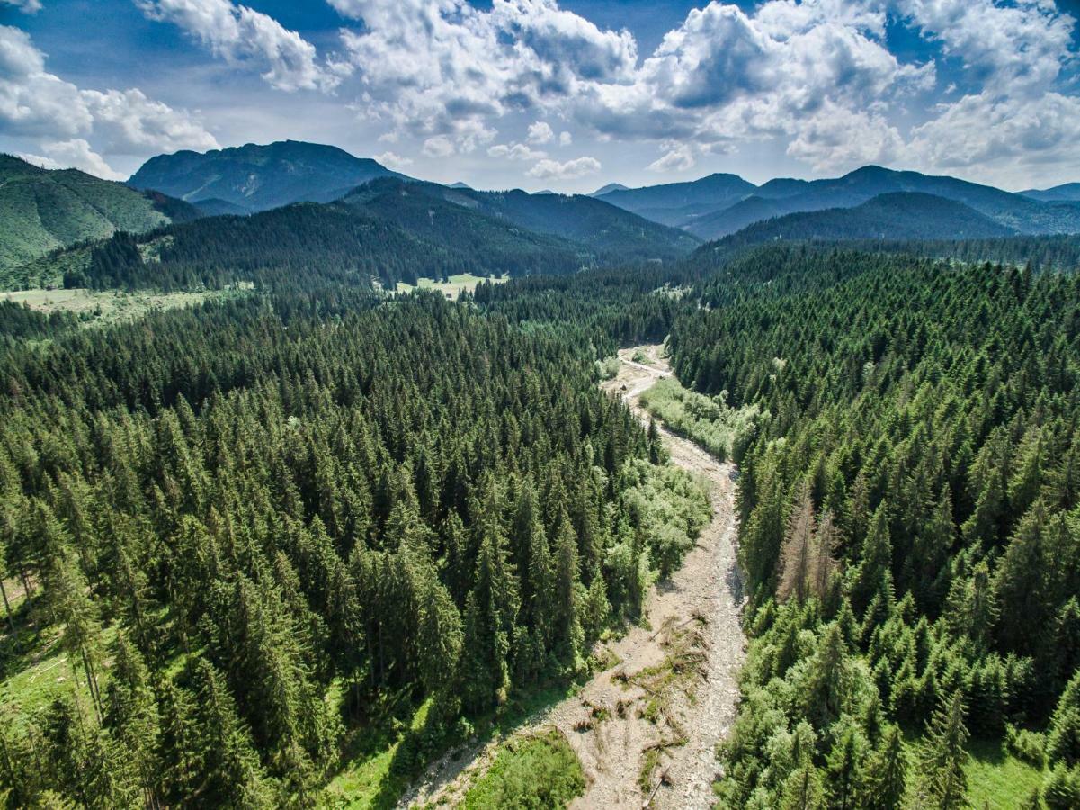 4 Seasons Lägenhet Kościelisko Exteriör bild
