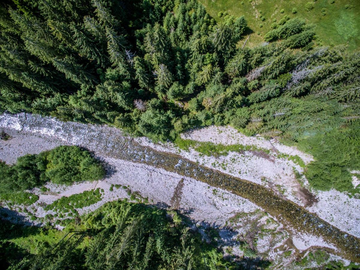 4 Seasons Lägenhet Kościelisko Exteriör bild